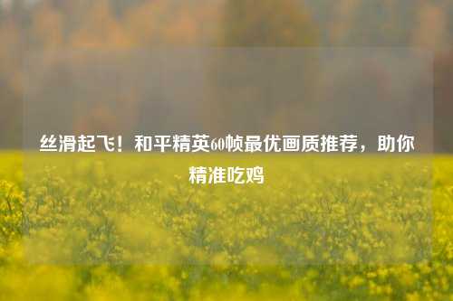 丝滑起飞!和平精英60帧最优画质推荐,助你精准吃鸡