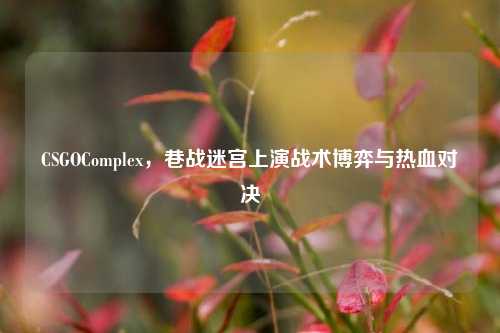 CSGOComplex,巷战迷宫上演战术博弈与热血对决