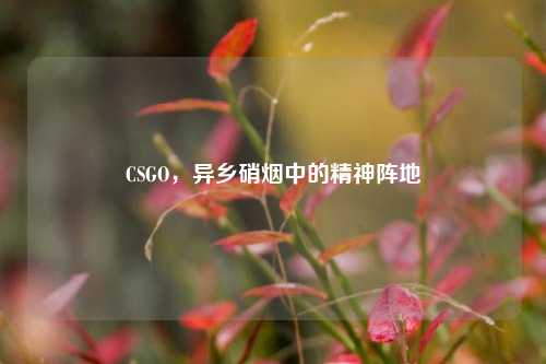 CSGO,异乡硝烟中的精神阵地