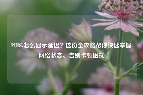 PUBG怎么显示延迟?这份全攻略帮你快速掌握网络状态、告别卡顿困扰