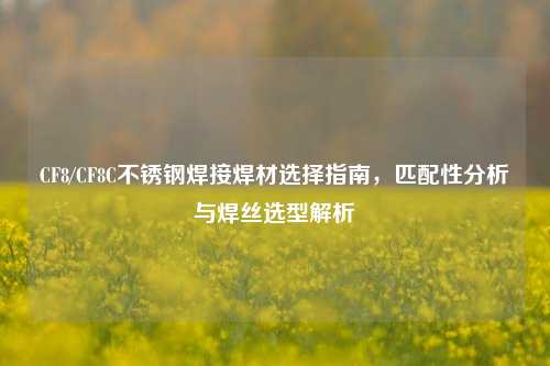 CF8/CF8C不锈钢焊接焊材选择指南,匹配性分析与焊丝选型解析