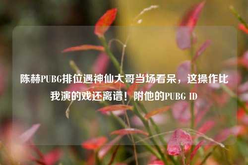 陈赫PUBG排位遇神仙大哥当场看呆,这操作比我演的戏还离谱!附他的PUBG ID