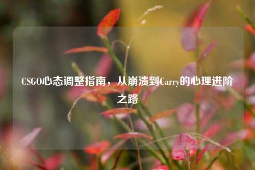 CSGO心态调整指南,从崩溃到Carry的心理进阶之路