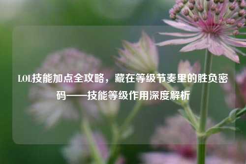 LOL技能加点全攻略，藏在等级节奏里的胜负密码——技能等级作用深度解析
