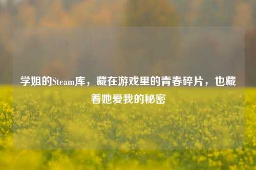 学姐的Steam库,藏在游戏里的青春碎片,也藏着她爱我的秘密