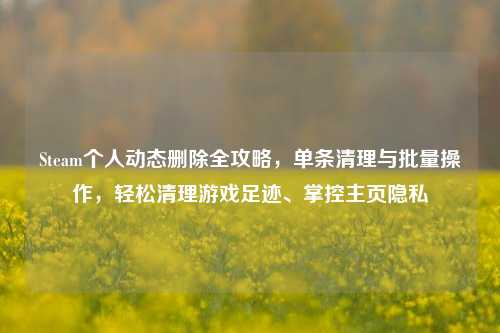 Steam个人动态删除全攻略，单条清理与批量操作，轻松清理游戏足迹、掌控主页隐私