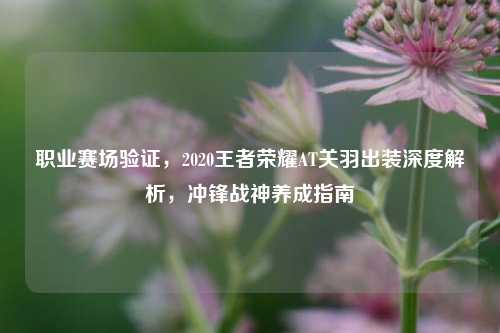 职业赛场验证,2020王者荣耀AT关羽出装深度解析,冲锋战神养成指南