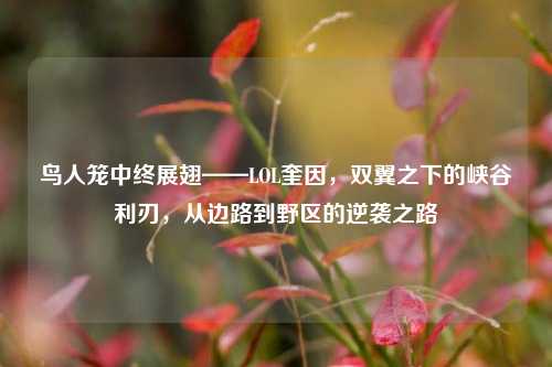 鸟人笼中终展翅——LOL奎因，双翼之下的峡谷利刃，从边路到野区的逆袭之路
