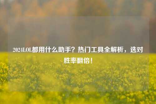 2024LOL都用什么助手？热门工具全解析，选对胜率翻倍！