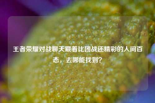 王者荣耀对战聊天藏着比团战还精彩的人间百态,去哪能找到?