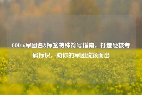COD16军团名&标签特殊符号指南,打造硬核专属标识,助你的军团脱颖而出