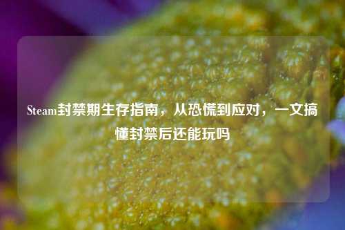 Steam封禁期生存指南,从恐慌到应对,一文搞懂封禁后还能玩吗