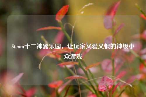 Steam十二神器乐园,让玩家又爱又恨的神级小众游戏