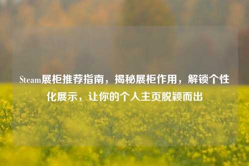 Steam展柜推荐指南，揭秘展柜作用，解锁个性化展示，让你的个人主页脱颖而出