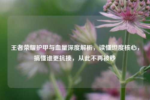 王者荣耀护甲与血量深度解析,读懂坦度核心,搞懂谁更抗揍,从此不再被秒