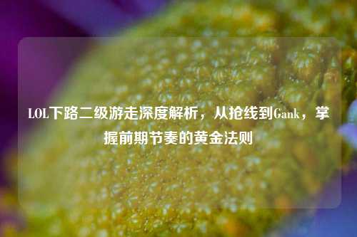 LOL下路二级游走深度解析,从抢线到Gank,掌握前期节奏的黄金法则