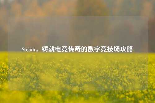 Steam，铸就电竞传奇的数字竞技场攻略