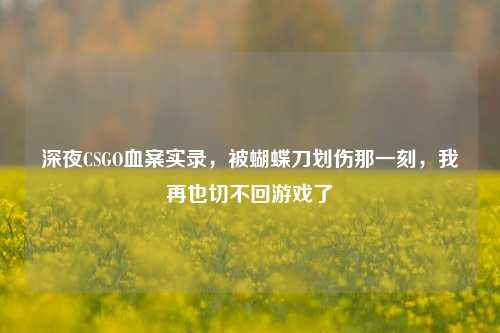 深夜CSGO血案实录,被蝴蝶刀划伤那一刻,我再也切不回游戏了