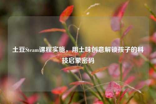 土豆Steam课程实施，用土味创意解锁孩子的科技启蒙密码