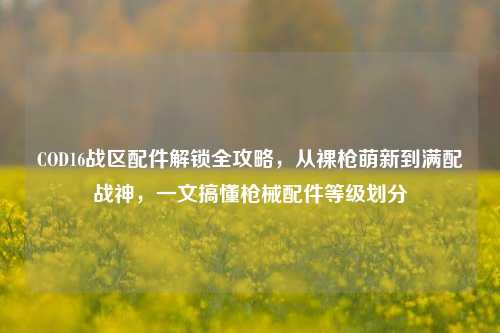 COD16战区配件解锁全攻略，从裸枪萌新到满配战神，一文搞懂枪械配件等级划分