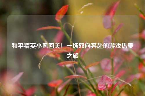和平精英小风回关！一场双向奔赴的游戏热爱之旅