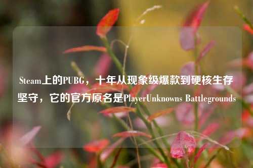 Steam上的PUBG,十年从现象级爆款到硬核生存坚守,它的官方原名是PlayerUnknowns Battlegrounds