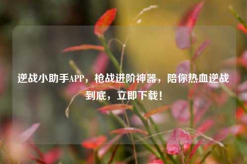 逆战小助手APP,枪战进阶神器,陪你热血逆战到底,立即下载!