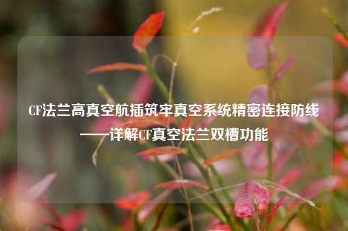 CF法兰高真空航插筑牢真空系统精密连接防线——详解CF真空法兰双槽功能