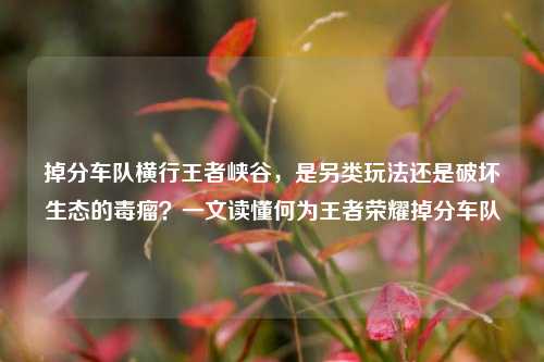 掉分车队横行王者峡谷,是另类玩法还是破坏生态的毒瘤?一文读懂何为王者荣耀掉分车队