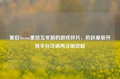 重启Steam重拾五年前的游戏碎片,阶跃星辰开放平台注销再注册攻略