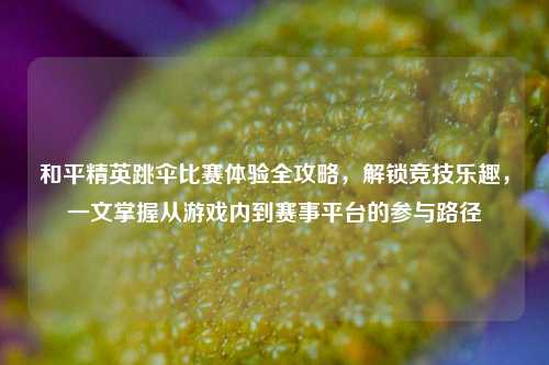 和平精英跳伞比赛体验全攻略,解锁竞技乐趣,一文掌握从游戏内到赛事平台的参与路径