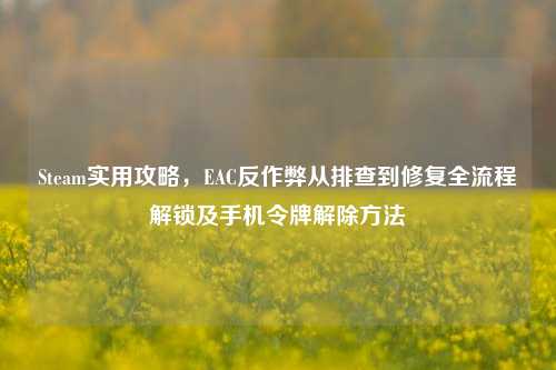 Steam实用攻略，EAC反作弊从排查到修复全流程解锁及手机令牌解除方法