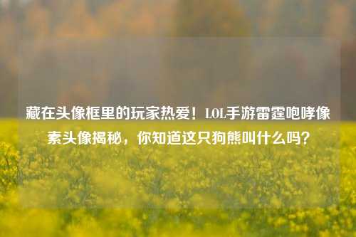 藏在头像框里的玩家热爱！LOL手游雷霆咆哮像素头像揭秘，你知道这只狗熊叫什么吗？