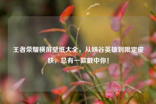 王者荣耀横屏壁纸大全,从峡谷英雄到限定皮肤,总有一款戳中你!