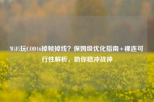 WiFi玩COD16掉帧掉线？保姆级优化指南+裸连可行性解析，助你稳冲战神
