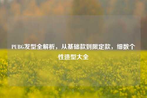 PUBG发型全解析，从基础款到限定款，细数个性造型大全