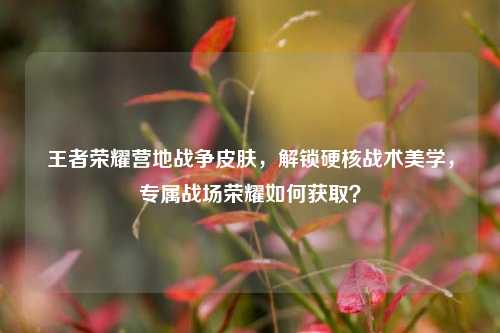 王者荣耀营地战争皮肤,解锁硬核战术美学,专属战场荣耀如何获取?
