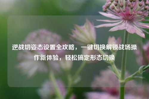 逆战切姿态设置全攻略，一键切换解锁战场操作新体验，轻松搞定形态切换