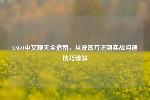 CSGO中文聊天全指南，从设置方法到实战沟通技巧详解