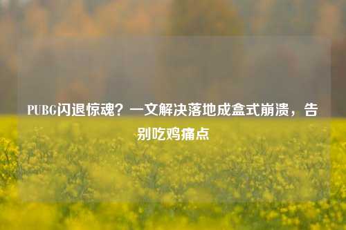 PUBG闪退惊魂？一文解决落地成盒式崩溃，告别吃鸡痛点
