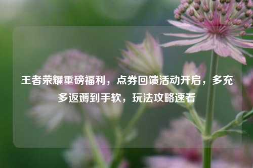 王者荣耀重磅福利，点券回馈活动开启，多充多返薅到手软，玩法攻略速看