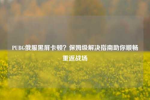 PUBG俄服黑屏卡顿？保姆级解决指南助你顺畅重返战场