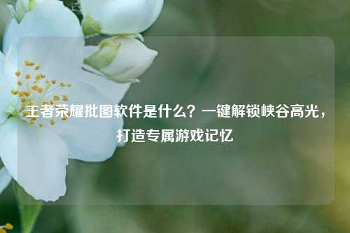 王者荣耀批图软件是什么？一键解锁峡谷高光，打造专属游戏记忆