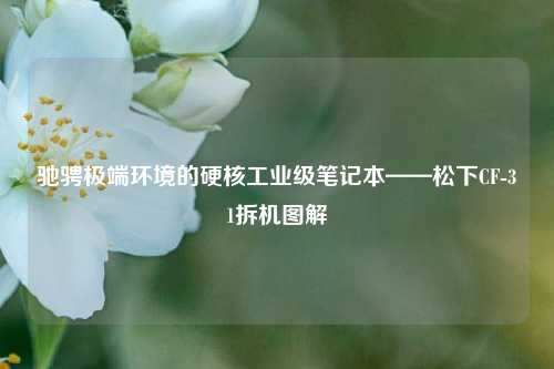 驰骋极端环境的硬核工业级笔记本——松下CF-31拆机图解