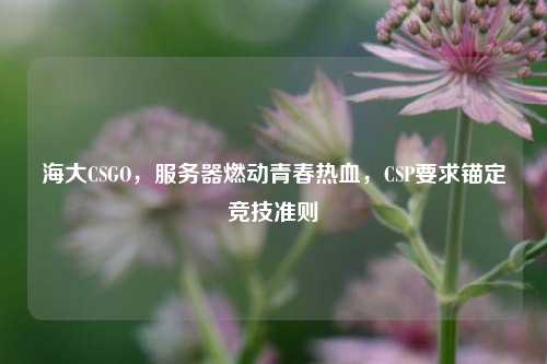 海大CSGO，服务器燃动青春热血，CSP要求锚定竞技准则