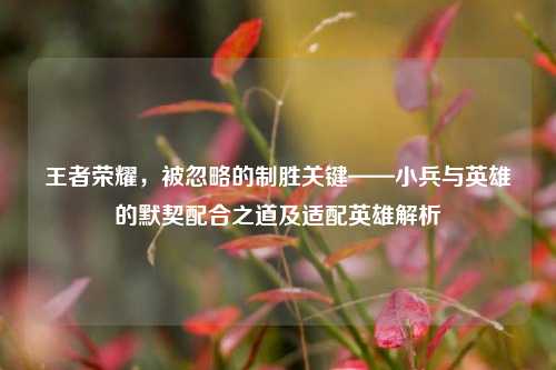 王者荣耀,被忽略的制胜关键——小兵与英雄的默契配合之道及适配英雄解析