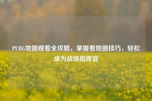 PUBG地图观看全攻略,掌握看地图技巧,轻松成为战场指挥官