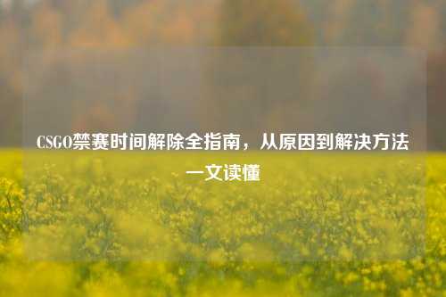 CSGO禁赛时间解除全指南,从原因到解决方法一文读懂