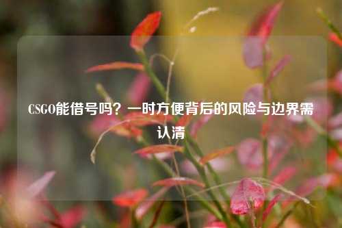 CSGO能借号吗?一时方便背后的风险与边界需认清