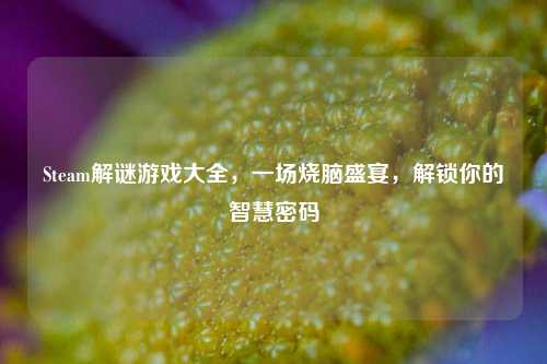 Steam解谜游戏大全,一场烧脑盛宴,解锁你的智慧密码